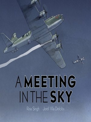 cover image of A Meeting in the Sky